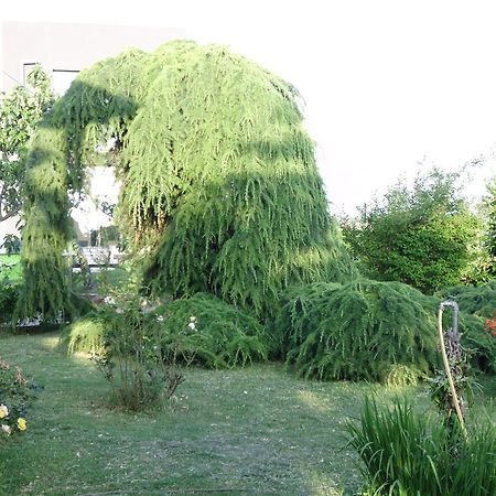 Apartments Ribic Umag Bilik gambar